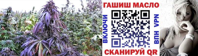 Купить закладки  Славск  Дистиллят ТГК вейп с тгк 